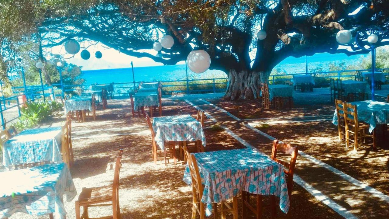 Camping Kato Alissos Eksteriør billede